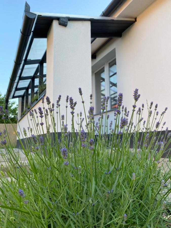 Lavender Garden Apartment 德布勒森 外观 照片